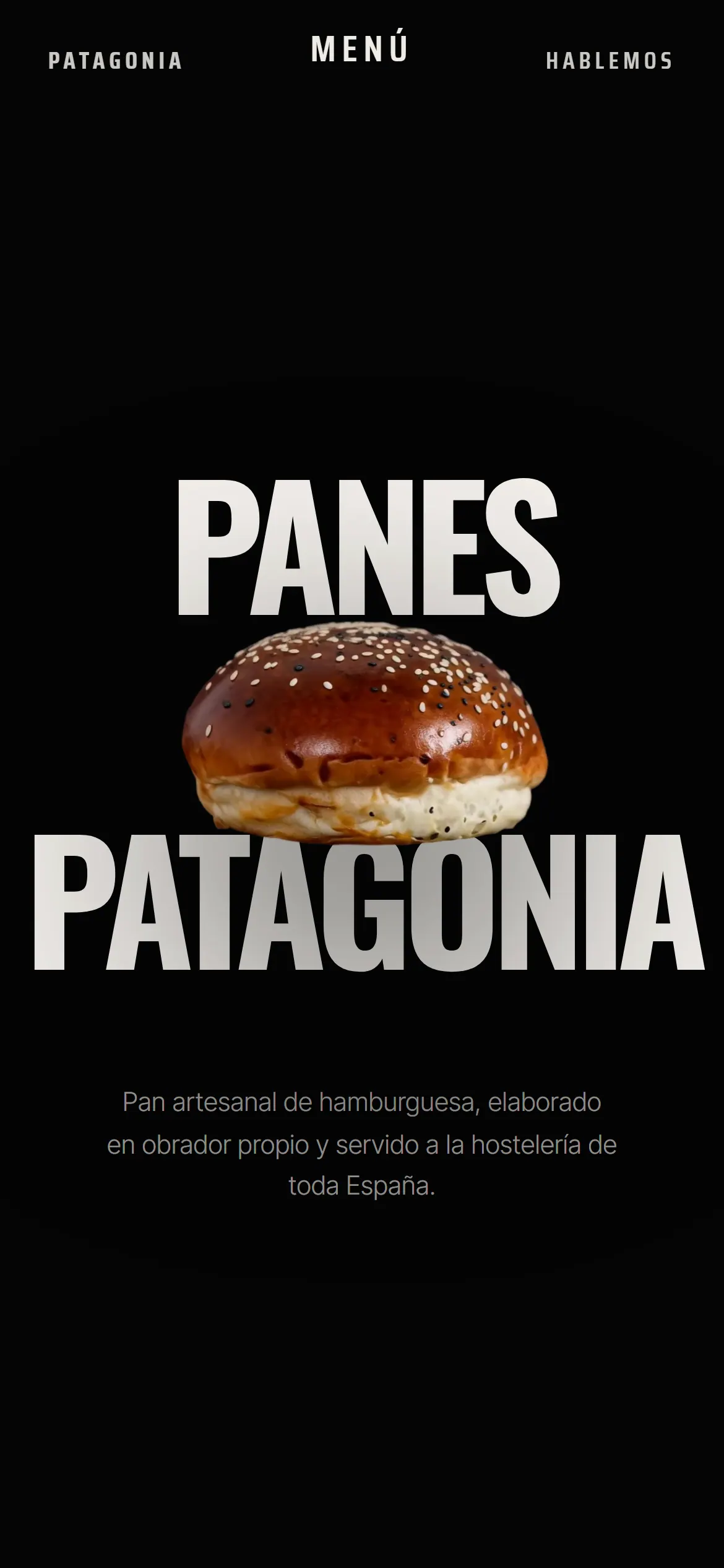Panes Patagonia — 4/4